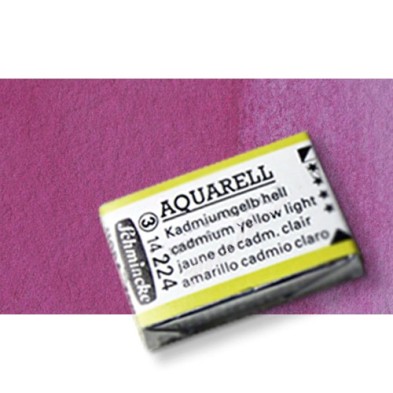 Materiais Belas Artes - Aquarela Schmincke Horadam, Violeta Cridaquidone 368, Godet Completa. | totenart.com