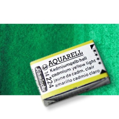 Materiais Belas Artes - Aquarela Schmincke Horadam, \n\nVerde Helio 514, Godet Completa. | totenart.com