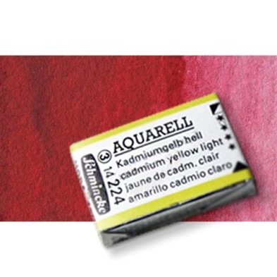 Materiais Belas Artes - Aquarela Schmincke Horadam, \n\nGaranza Vermelho Escuro 354, Godet Completa. | totenart.com