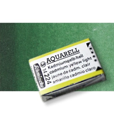 Materiais Belas Artes - Aquarela Schmincke Horadam, \n\nVerde Oliva 515, Godet Completa. | totenart.com