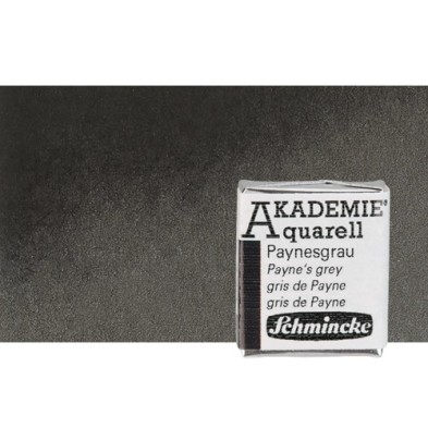 Materiais Belas Artes - Aquarela Schmincke Akademie,\n \n\n\nPayne Grey 770, 1/2Godet. | totenart.com