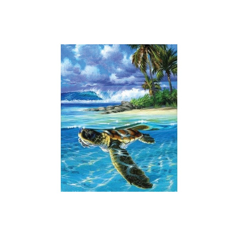 Materiais Belas Artes - Caixa kit pintura por números \"Tortue détendue\", 40x50cm, Figured\'Art | totenart.com