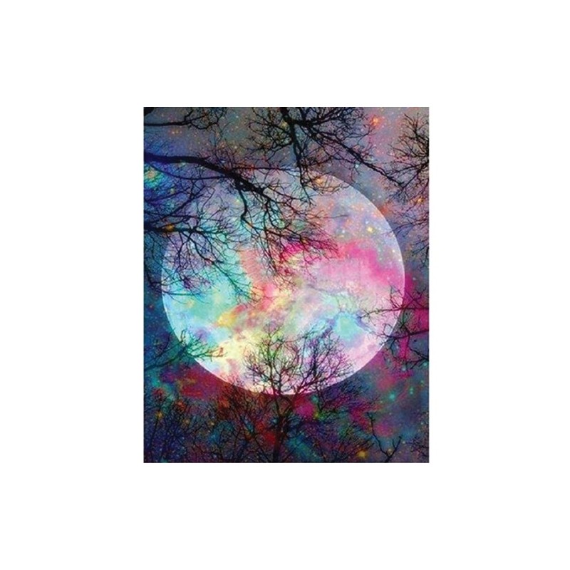 Materiais Belas Artes - Caixa kit pintura por números \"Pleine Lune aux reflets\", 40x50cm, Figured\'Art | totenart.com