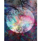 Materiais Belas Artes - Caixa kit pintura por números \"Pleine Lune aux reflets\", 40x50cm, Figured\'Art | totenart.com
