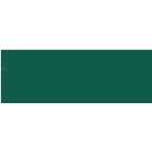 Gouache Extrafino Talens, Verde Pino, 50 ml.