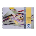 Materiais Belas Artes - Bloco Toned Paper Van Gogh Floresta Verde, 30 folhas, 120 gr (A3) | totenart.com