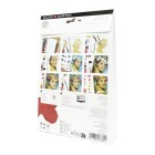 Oleo Van Gogh, caixa madeira, 10 cor.