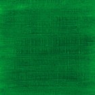 Materiais Belas Artes - Óleo no bar Sennelier 38 ml. Verde permanente S3 | totenart.com