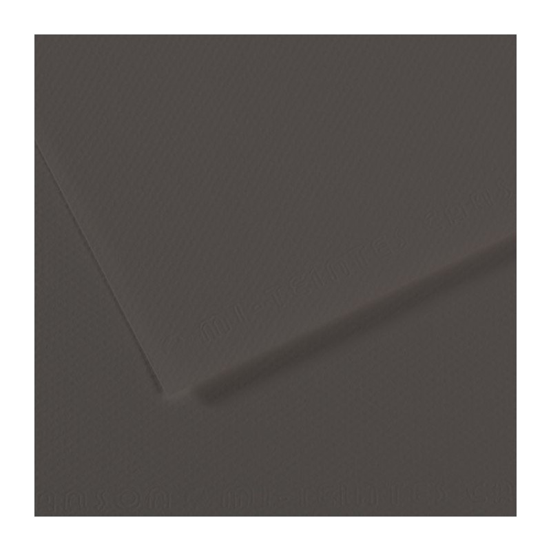 Mi-teintes Canson Gris Perola, 160 gr., 50x65 cm.