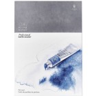 Materiais Belas Artes - Cartela de cores Winsor&Newton Professional, 109 cores de aquarela | totenart.com