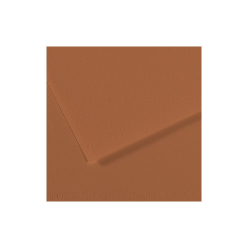 Mi-teintes Canson Gris Perola, 160 gr., 50x65 cm.