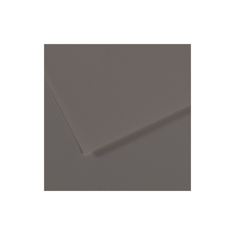 Mi-teintes Canson Gris Perola, 160 gr., 50x65 cm.