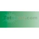 Materiais Belas Artes - Aquarela Liquida Vallejo, Verde Bosque, 32 ml. | totenart.com