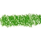 Carres Conte Verde Claro