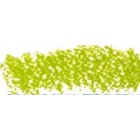 Carres Conte Verde San Miguel