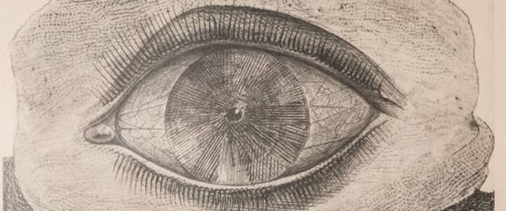 O que é a técnica do frottage?