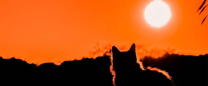 Verniz para raios UV: o que é e como usá-lo?