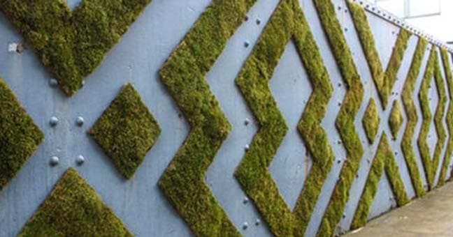 Como fazer graffitis vivos