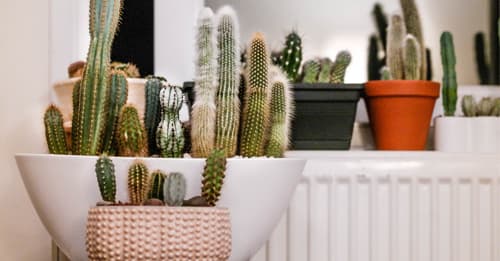 Como fazer um vaso com pasta DAS