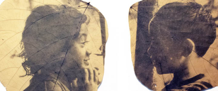 Como imprimir fotografias em folhas de árvore