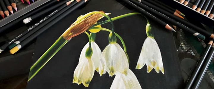 Chega o Black Friday para a Derwent!