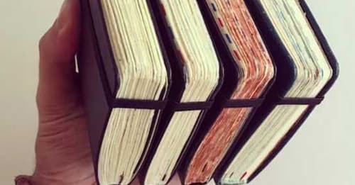 Os diários de viagem de José Naranja