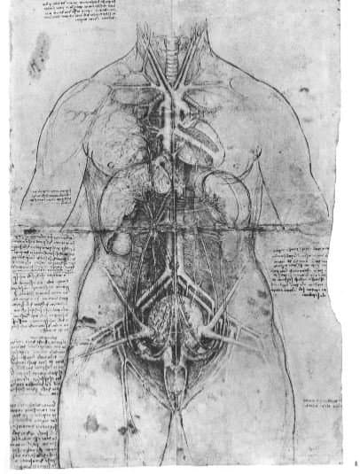 6 livros de graça para os amantes de arte 6 totenart diseno davinci1 1