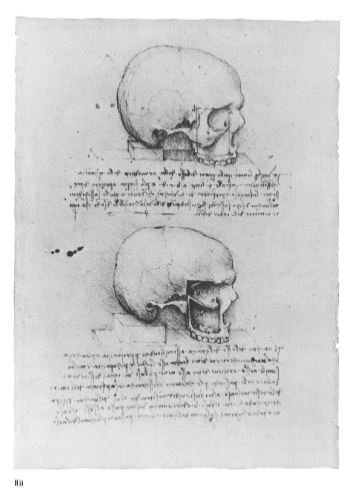 totenart diseno davinci2