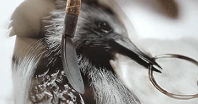 Conheces a técnica Fumage?