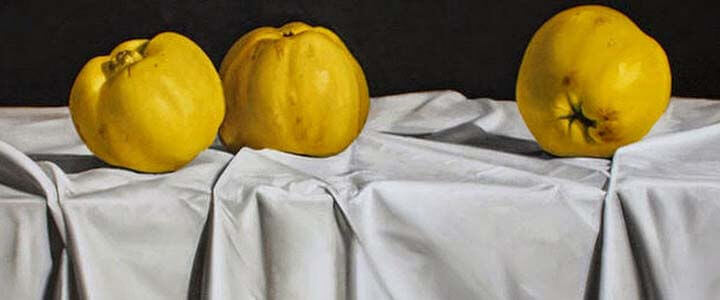 Como pintar toalhas em naturezas mortas