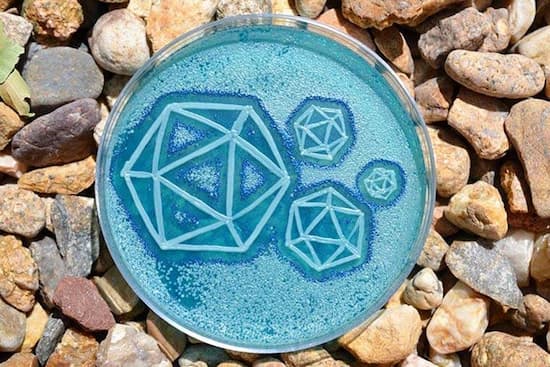 Arte Microbiana: o que é? 3 agar art 02