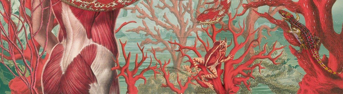 Posemaniacs: paixão pela antomia