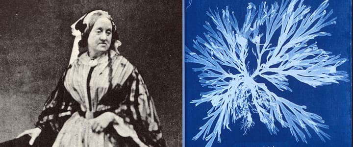 Dia Mundial da Cianotipia!